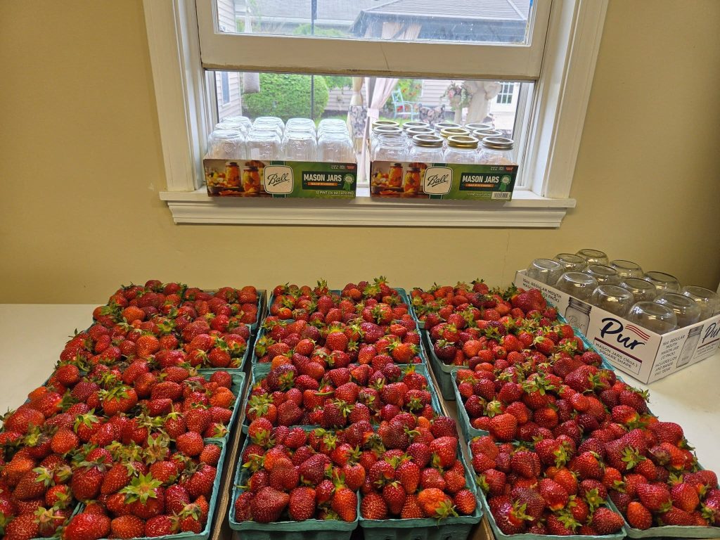 strawberry canning